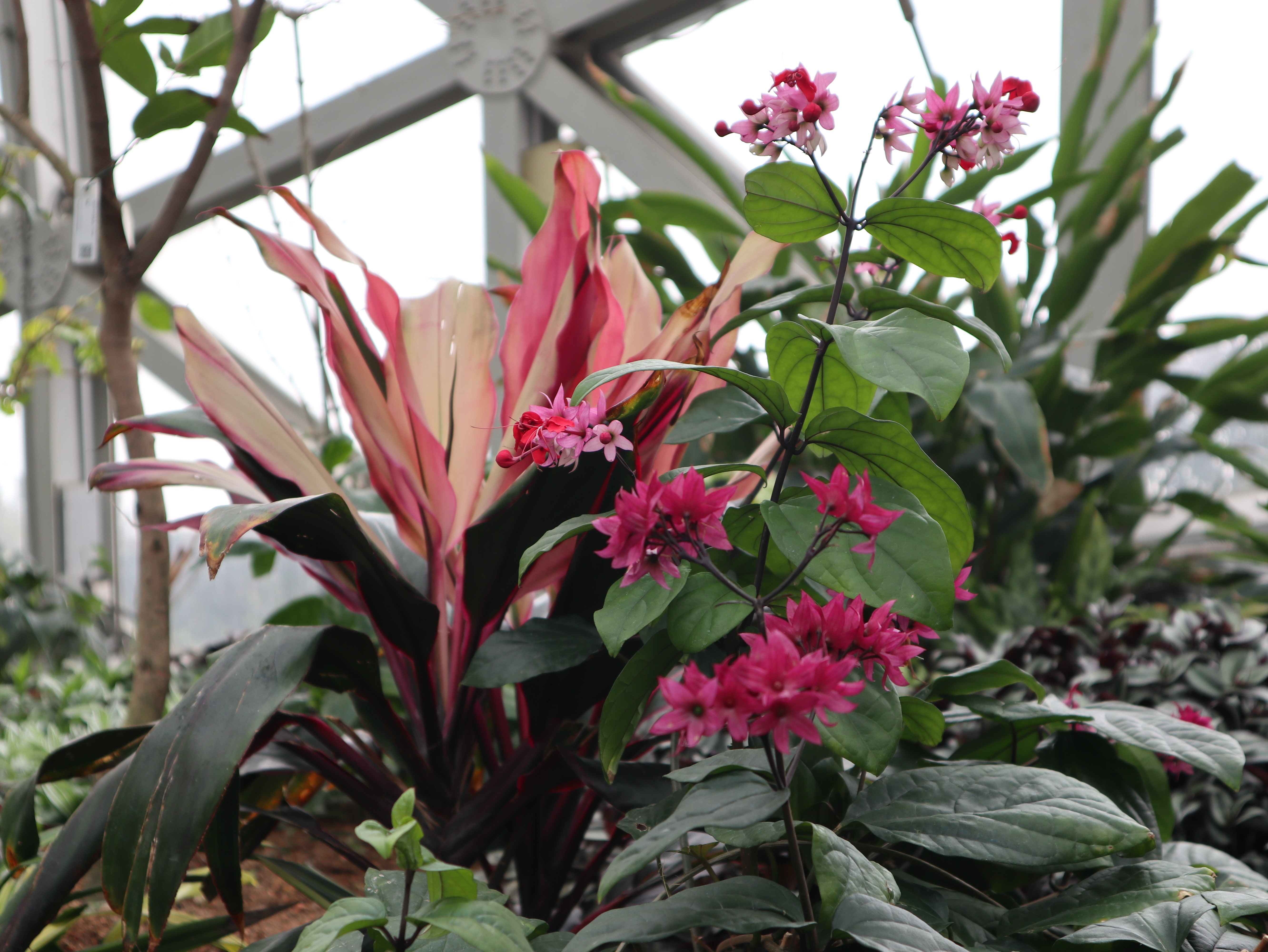 新聞 | 寶開組織“相約春季，歡暢游園”三八節(jié)主題活動